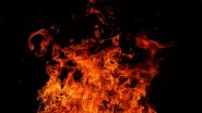 Goods Train on Fire in Hanamkonda: Blaze Erupts at Kazipet Railway Station in Telangana (Watch Video)