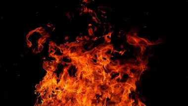 Mumbai Fire Video: Massive Blaze Engulfs Garment Shop in Dindoshi, Eight Fire Tenders Rushed to the Scene