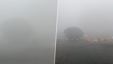 Maharashtra: Residents Wake Up to Dense Fog With Low Visibility in Mumbai and Thane, Pics and Videos Surface