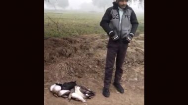 Uttar Pradesh: Man Found With Seven Dead Siberian Birds, Arrested for Alleged Involvement in Illegal Hunting in Kaushambi