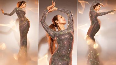 Malaika Arora Slays in Shimmery Figure-Flattering Gown; Check Out Her Glam Pics!