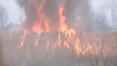 Jammu and Kashmir Fire Video: Blaze Erupts in Grassland Near Freshwater Lake Baba Demp in Srinagar