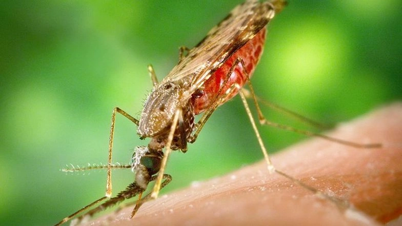 Yogi Adityanath-Led Uttar Pradesh Government Steps Up Efforts To Make UP Malaria-Free by 2027
