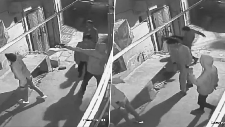 Delhi Viral Video: Four Miscreants Open Fire, Wield Knives, Throw Bricks and Stones At House in Mohan Garden Area