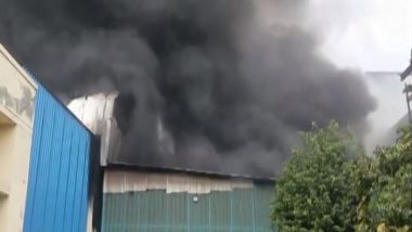 Haryana Fire: Massive Blaze Erupts in Shoe Factories in Bahadurgarh, No Casualties Reported (Watch Video)