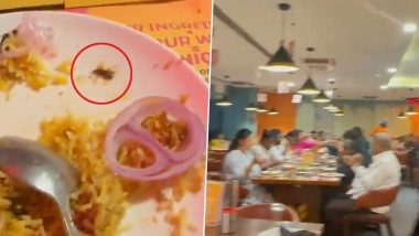 Hyderabad Shocker: Customer Disgusted After Finding Cockroach in Biryani at Popular Restaurant in Jubilee Hills (Watch Video)