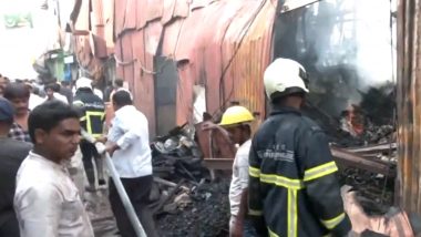 Mumbai Fire Video: Level One Blaze Erupts at Godown in Kurla Garden, No Injuries Reported, Says BMC