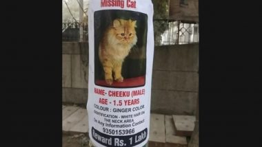 Million Dollar 'Cheeku': Owner Puts Up Missing Cat Posters in Noida, Announces Staggering Amount of Rs 1 Lakh Reward (See Pic)