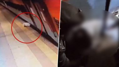 Telangana: Alert RPF Personnel, Passengers Rescue Man After He Slips in Gap Between Tracks and Platform, Gets Dragged Along With Train (Watch Videos)