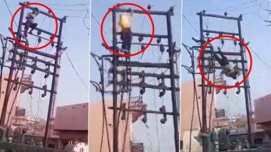 Noida Horror: Youth Electrocuted as He Climbs on Transformer in Jewar, Terrifying Video Surfaces