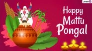 Happy Mattu Pongal 2024 Images & HD Wallpapers for Free Download Online: Celebrate Third Day of Pongal Festival With Lovely Wishes, Messages and Greetings