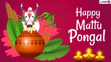 Happy Mattu Pongal 2024 Images & HD Wallpapers for Free Download Online: Celebrate Third Day of Pongal Festival With Lovely Wishes, Messages and Greetings
