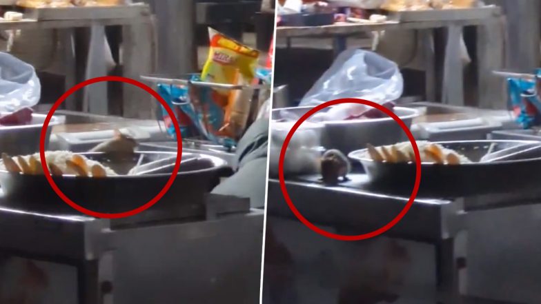 Rats Feast on Food Items Prepared at IRCTC Stall at Itarsi Junction in Madhya Pradesh, Railways Respond After Video Goes Viral