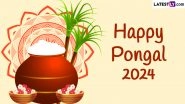 Happy Pongal 2024 Wishes & HD Images: WhatsApp Greetings, Images, Wallpapers, Facebook Messages and SMS for the Four-Day Harvest Festival