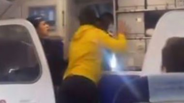 IndiGo Pilot Assault Incident: Another Video Surfaces, Shows Passenger Apologising