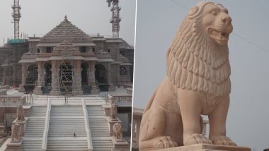 Ram Janmbhoomi Teerth Kshetra Shares Enthralling Pictures of Ram Temple's Sinh Dwar (See Pics)