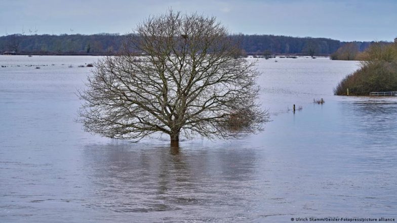 How Flooding Affects the Environment