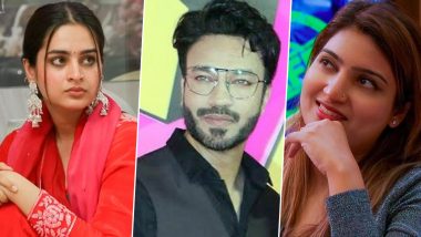 Bigg Boss 17: Ayesha Khan Unveils Vicky Jain and Sana Raees Khan's Holding Hands Incident