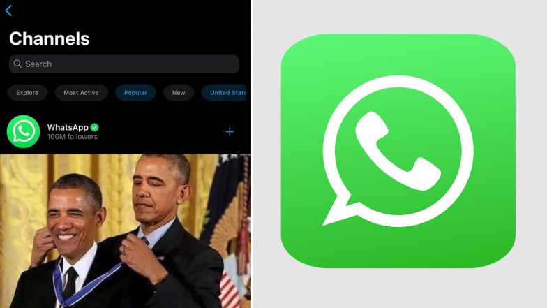 WhatsApp Public Channel Achieves Over '100 Million Followers', More Users Connecting and Channel Growing: Report