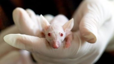 China Experimenting With New Deadly COVID-19-Like Virus That Can Cause 100% Mortality in Mice: Report