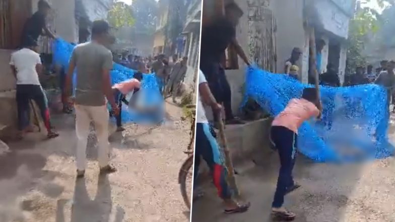 Dog Murdered in West Bengal: Youths Brutally Kill Mother Dog and Her Puppies, Disturbing Video Surfaces