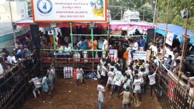 Jallikattu in Tamil Nadu: Traditional Bull-Taming Sport Underway in Madurai's Avaniyapuram Amid Pongal Celebrations (Watch Video)