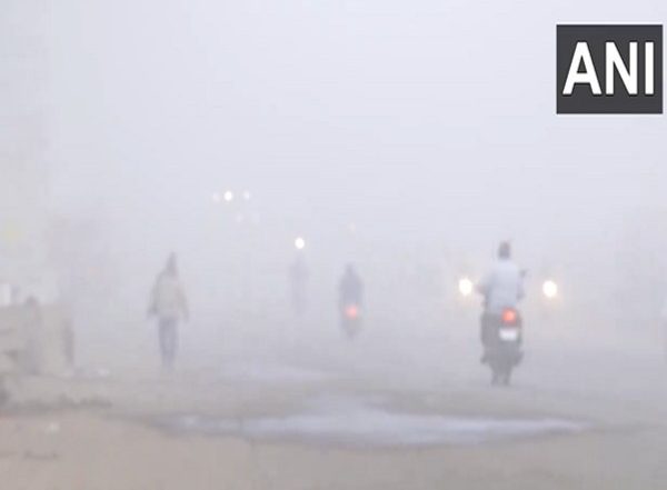 India News | MP: Cold, Dense Fog Engulfs in Bhopal; Met Office Predicts Light Rainfall in Gwalior Chambal Region in Next 24 Hours