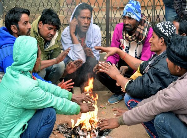 India News | Temperature Drops Below Freezing Point, a Layer of Ice Spotted in Fields of Rajasthan's Sikar