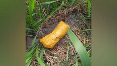 India News | BSF, Punjab Police Seize 672 Gms of Heroin in Tarn Taran