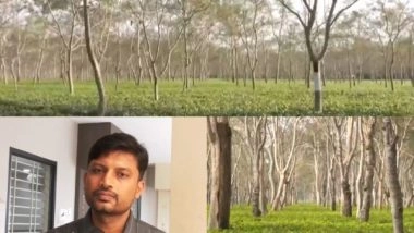 Business News | Interim Budget 2024: Assam Tea Industry Seeks Exports Promotion Policy