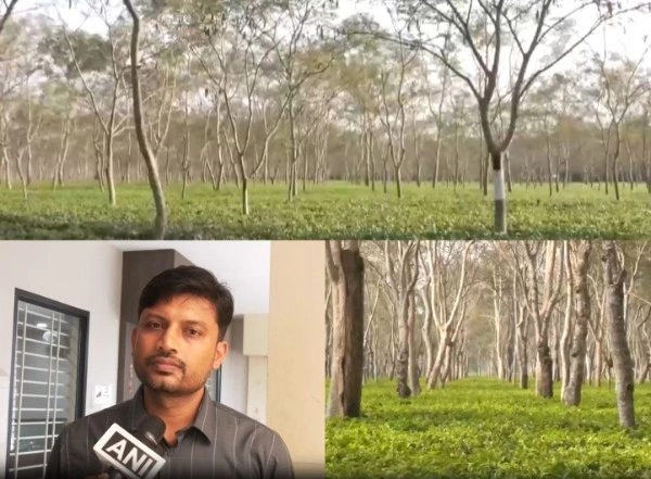 Business News | Interim Budget 2024: Assam Tea Industry Seeks Exports Promotion Policy