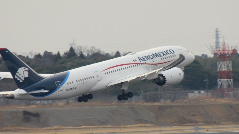 Bad Behavior Aboard Airplanes: Other Passengers Support Man Who Opened Emergency Exit, Walked on Wing of Plane in Mexico Airport