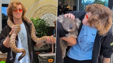 Australian Open 2024: Andrey Rublev Fearlessly Plays With a Snake Around His Neck, Gently Pets a Koala, Video Goes Viral