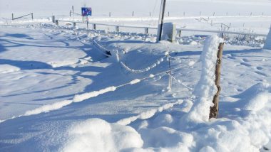 What Is an Arctic Blast? How Quickly Can You Get Frostbite in an Arctic Blast? How To Prepare for Arctic Blast Weather? All FAQs Answered
