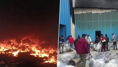 Haryana Fire: Massive Blaze Erupts at Two Shoe Factories in Bahadurgarh, Fire Tenders Rushed To Spot (Watch Video)