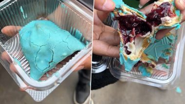 Blueberry Samosa Viral Video: Food Blogger Gives Her Honest Reaction to the Bizarre Food Combination (Watch)