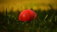 Cricketer Deepak Khandekar Tragically Dies While Playing Cricket in Madhya Pradesh