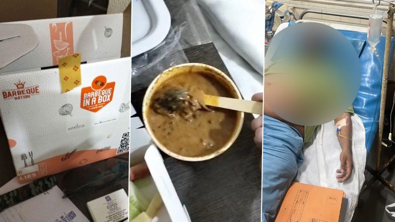 Dead Mouse Found in Barbeque Nation Veg Meal Box? Prayagraj Man Visiting Mumbai Claims To Get Hospitalised After Eating Contaminated Food, Shares Photos Online