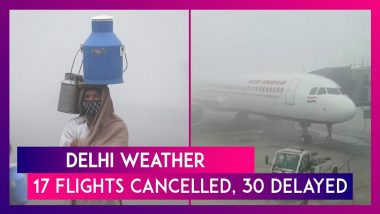 Delhi Weather: Dense Fog Covers National Capital; 17 Flights Cancelled, 30 Delayed And 30 Trains Cancelled