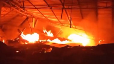 Uttar Pradesh Fire Video: Massive Blaze Erupts at Warehouse in Faizabad