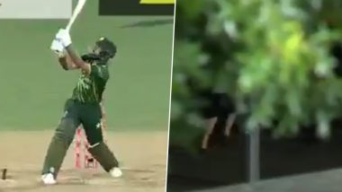 Fan Runs Away With the Ball After Fakhar Zaman’s Massive Six Lands Outside Stadium During NZ vs PAK 2nd T20I 2024, Video Goes Viral