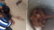 Telangana Shocker: Pregnant Cow Hacked to Death and Chopped to Pieces in Manakondur, Heart-Wrenching Video Shows Family Grieving Animal&rsquo;s Death
