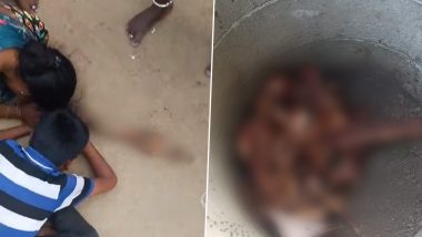 Telangana Shocker: Pregnant Cow Hacked to Death and Chopped to Pieces in Manakondur, Heart-Wrenching Video Shows Family Grieving Animal’s Death
