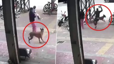 Ferocious Dog Attack Caught on Camera: Woman Saves Kid as Stray Dog Tries to Attack Toddler, Video Surfaces