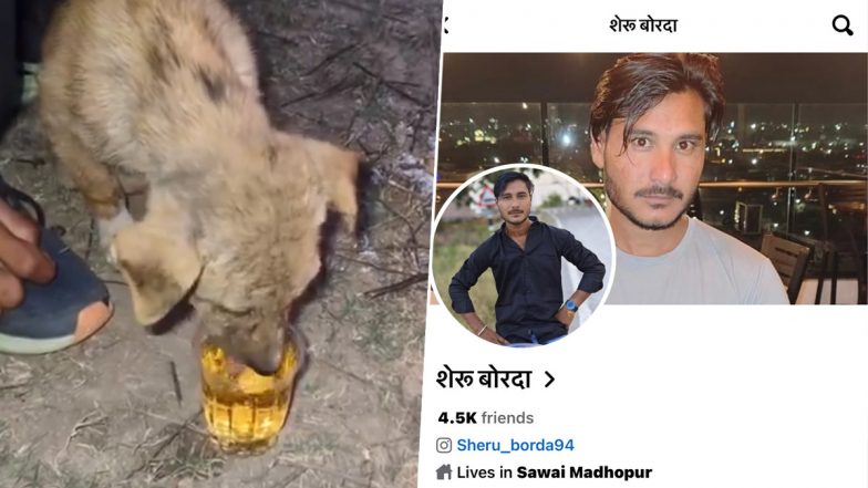 Rajasthan Shocker: Puppy Made to Consume Alcohol in Sawai Madhopur, Probe Launched After Video Goes Viral