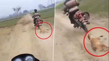 Animal Cruelty Caught on Camera in UP: Dog Tied to Bike, Dragged Along Road in Ghazipur; Video of Horrific Act Surfaces