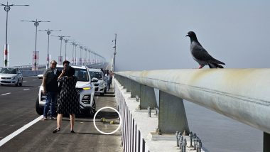 Littering Issue at Atal Setu Begins! Viral Photo Shows Travellers Flout Rules by Stopping on India's Longest Sea Bridge to Click Pics