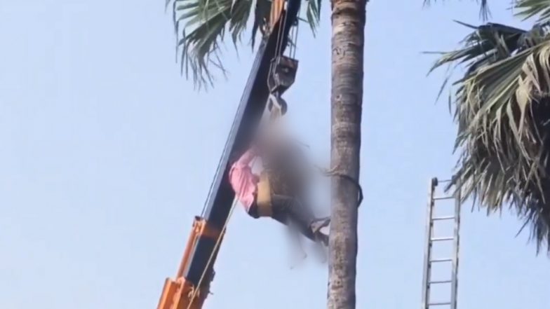 Sudden Death in Telangana: Man Suffers Heart Attack on Palm Tree in Bhuvanagiri, Dies (Watch Video)