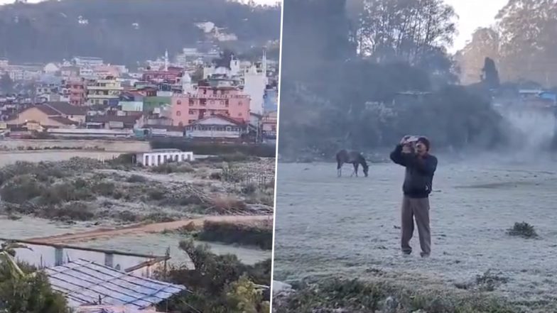 Nilgiris Turns Into Winter Wonderland as Temperature Drops to 0 Degree Celsius in Sandynalla Reservoir Area of Tamil Nadu (Watch Video)