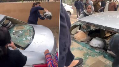Animal Cruelty in Delhi: Woman Locks Puppies Inside Car in Chirag Enclave, People Break Vehicle’s Glass to Rescue Them; Viral Videos Surface